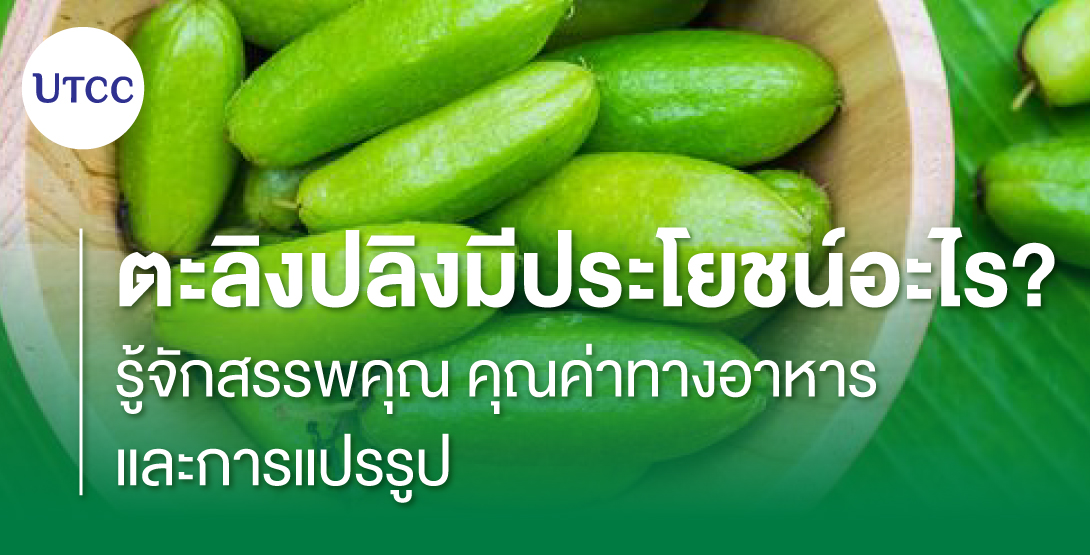 ตะลิงปลิงมีประโยชน์อะไร รู้จักสรรพคุณ คุณค่าทางอาหาร และการแปรรูป