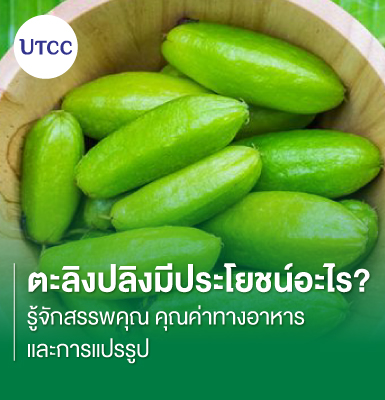 ตะลิงปลิงมีประโยชน์อะไร รู้จักสรรพคุณ คุณค่าทางอาหาร และการแปรรูป