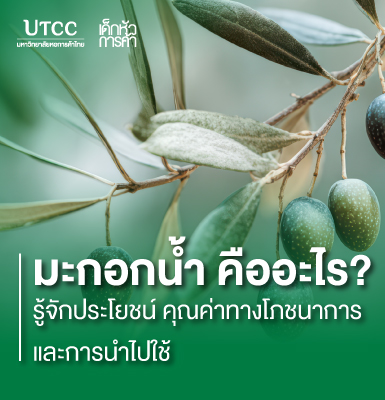 มะกอกน้ำ คืออะไร? รู้จักประโยชน์ คุณค่าทางโภชนาการ และการนำไปใช้